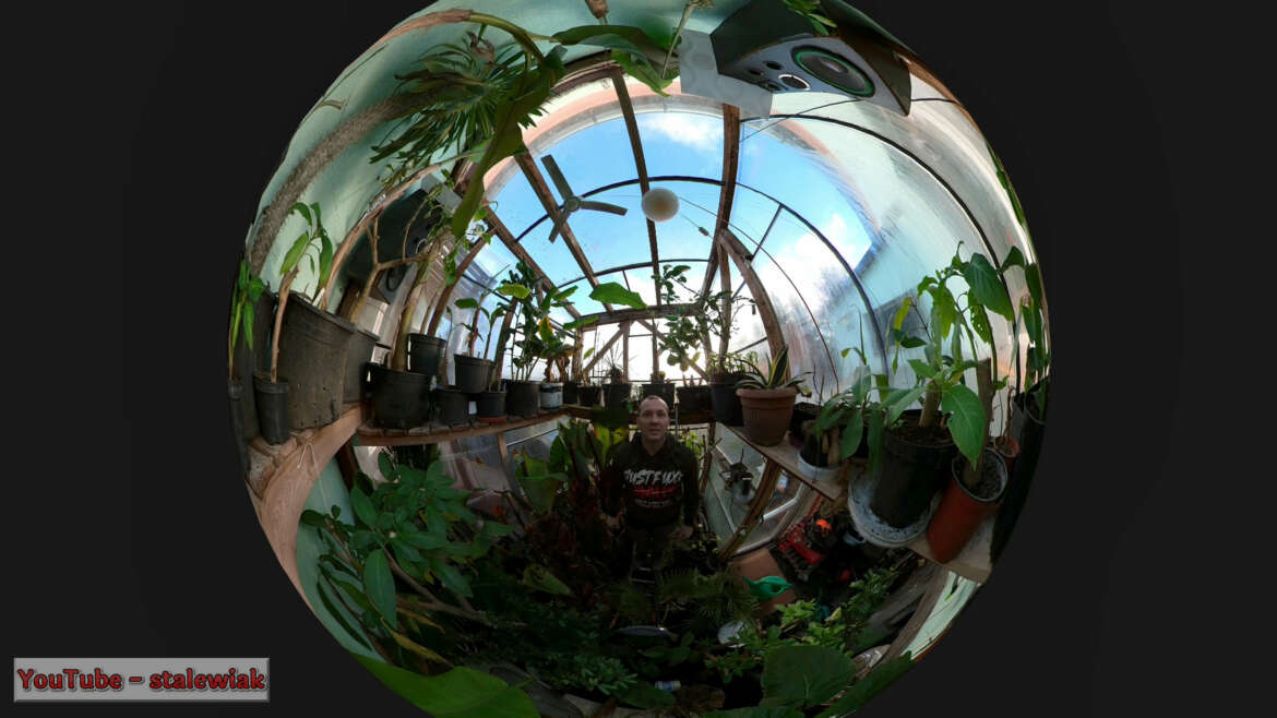 Przegląd roślin w szklarni przydomowej. Film 360.