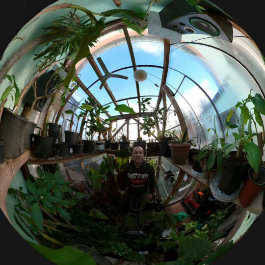 Przegląd roślin w szklarni przydomowej. Film 360.